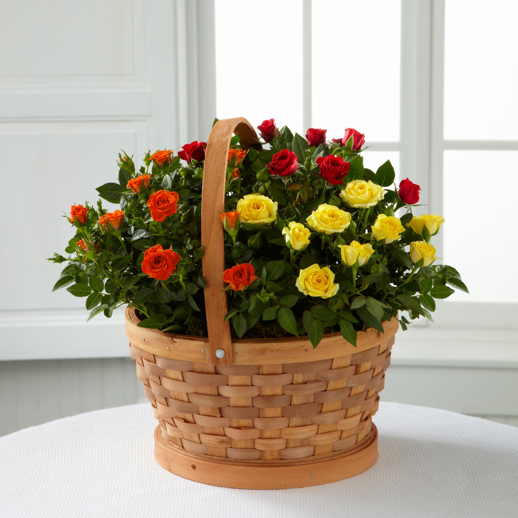 Blooms of Fall Rose Garden Basket by Better Homes and Gardens
