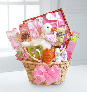 Special Stork Delivery Baby Girl Basket
