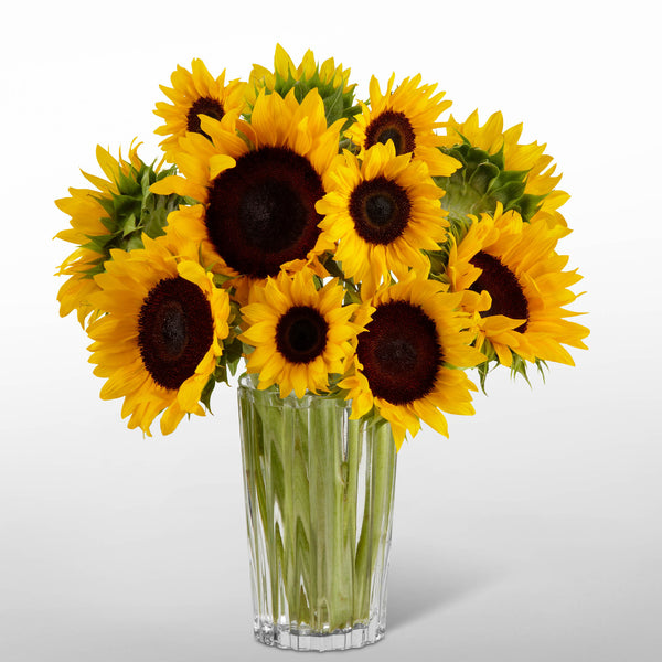 Golden Sunflower Bouquet by Vera Wang