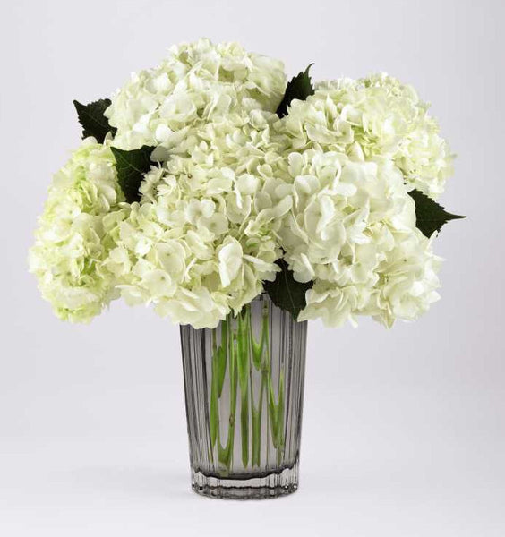 Ivory Hydrangea Bouquet by Vera Wang