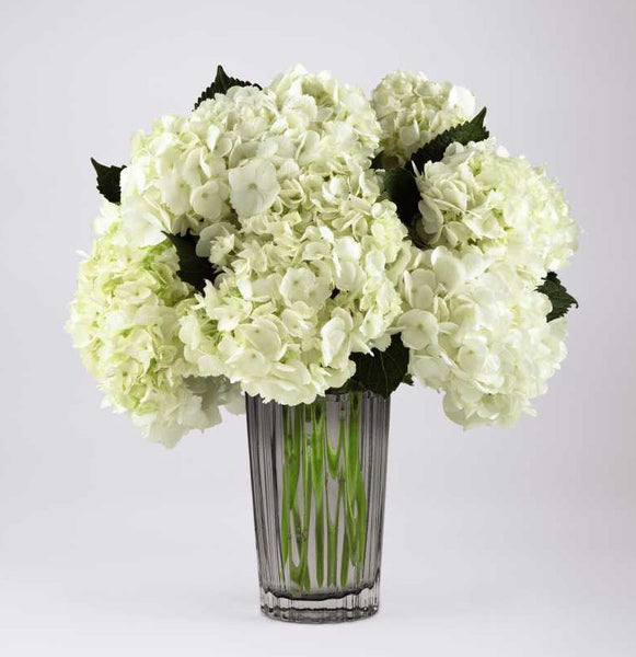 Ivory Hydrangea Bouquet by Vera Wang