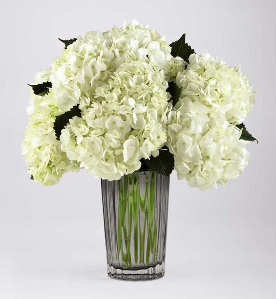 Ivory Hydrangea Bouquet by Vera Wang