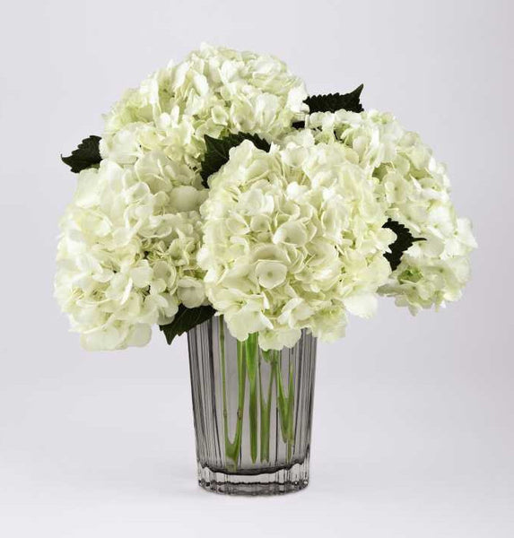 Ivory Hydrangea Bouquet by Vera Wang