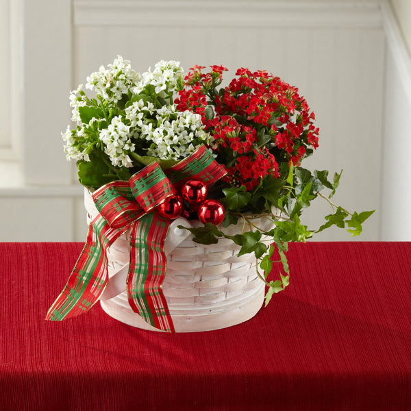 Celebrate the Season Dishgarden