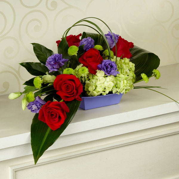The Exotica Arrangement