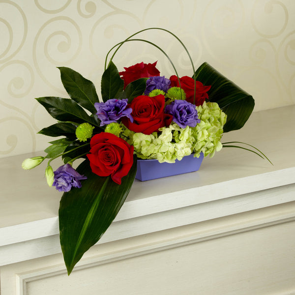 The Exotica Arrangement