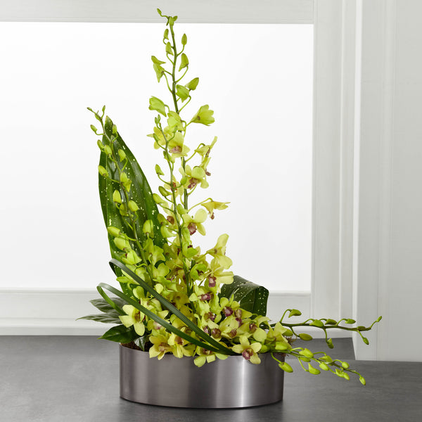 Irresistible Orchid Arrangement