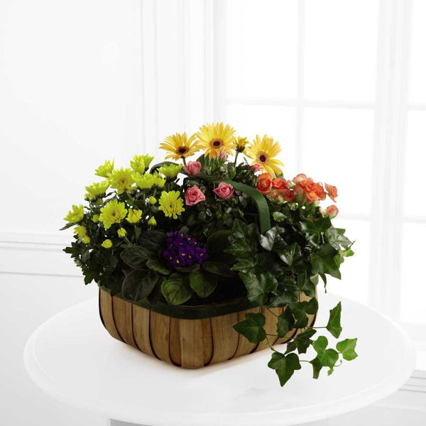 Gentle Blossoms Basket