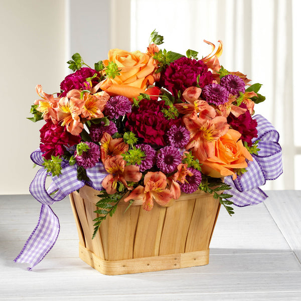New Dream Basket