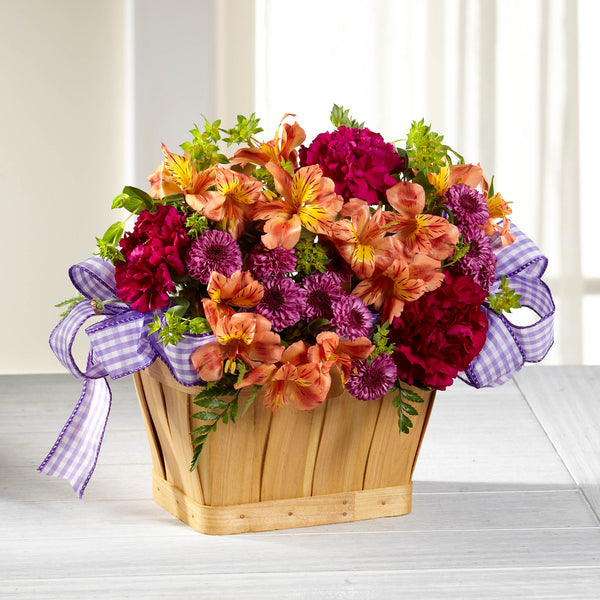 New Dream Basket