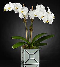 Elegant Impressions Luxury Bouquet