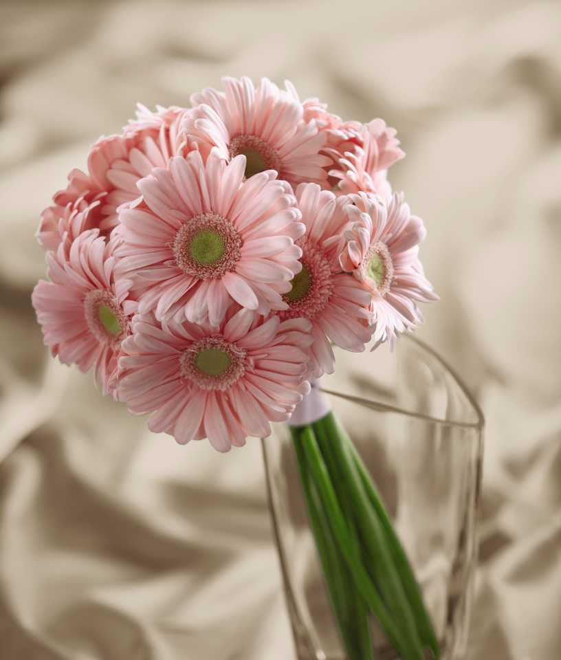 Daisy Delight Bouquet