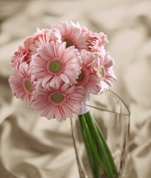Daisy Delight Bouquet