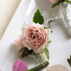 Pink Spray Rose Boutonniere
