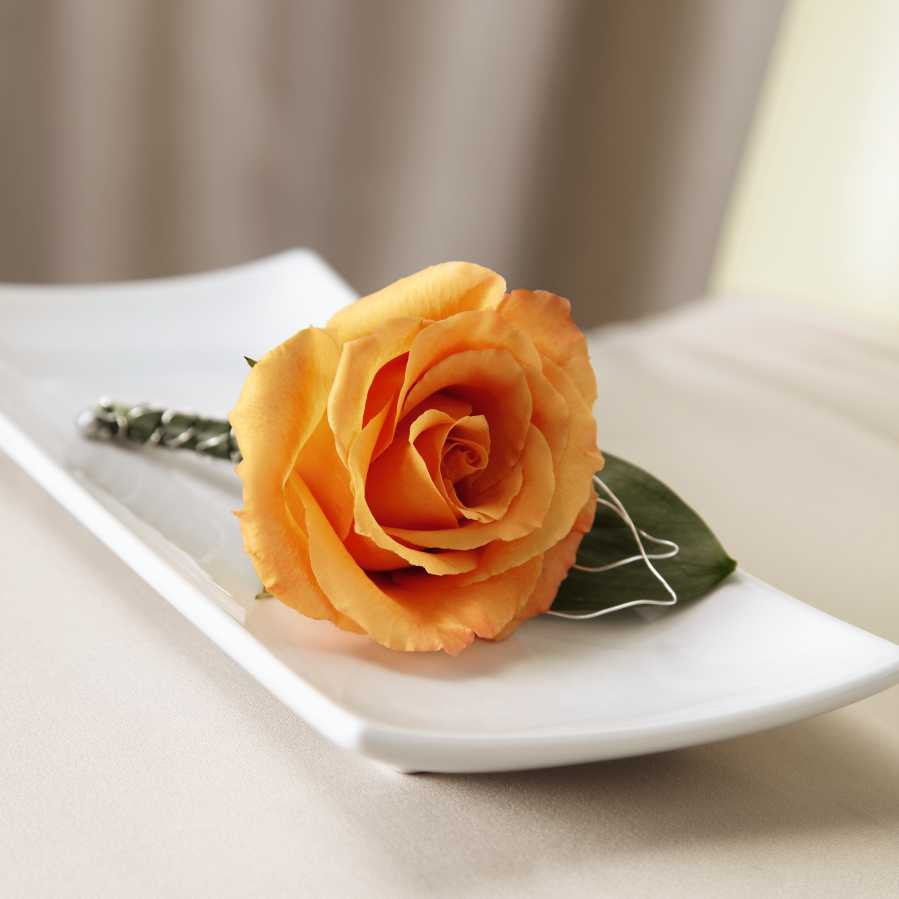 New Sunrise Boutonniere