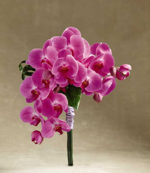 Glorious Bouquet