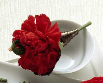 Red Carnation Boutonniere