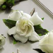 Gardenia Boutonniere