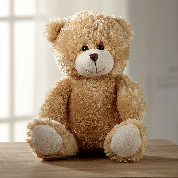 Hugs for You Plush Bear