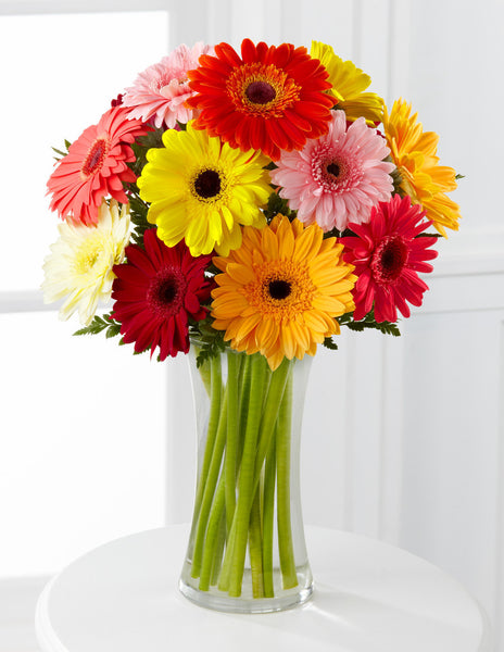 Colorful World Gerbera Daisy Bouquet - 12 Stems - With Vase