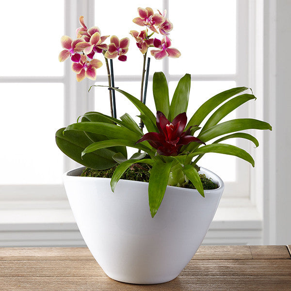 Signature Style Window Garden by Better Homes and Gardens®