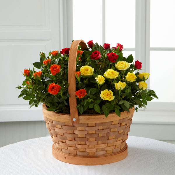 Blooms of Fall Rose Garden Basket by Better Homes and Gardens
