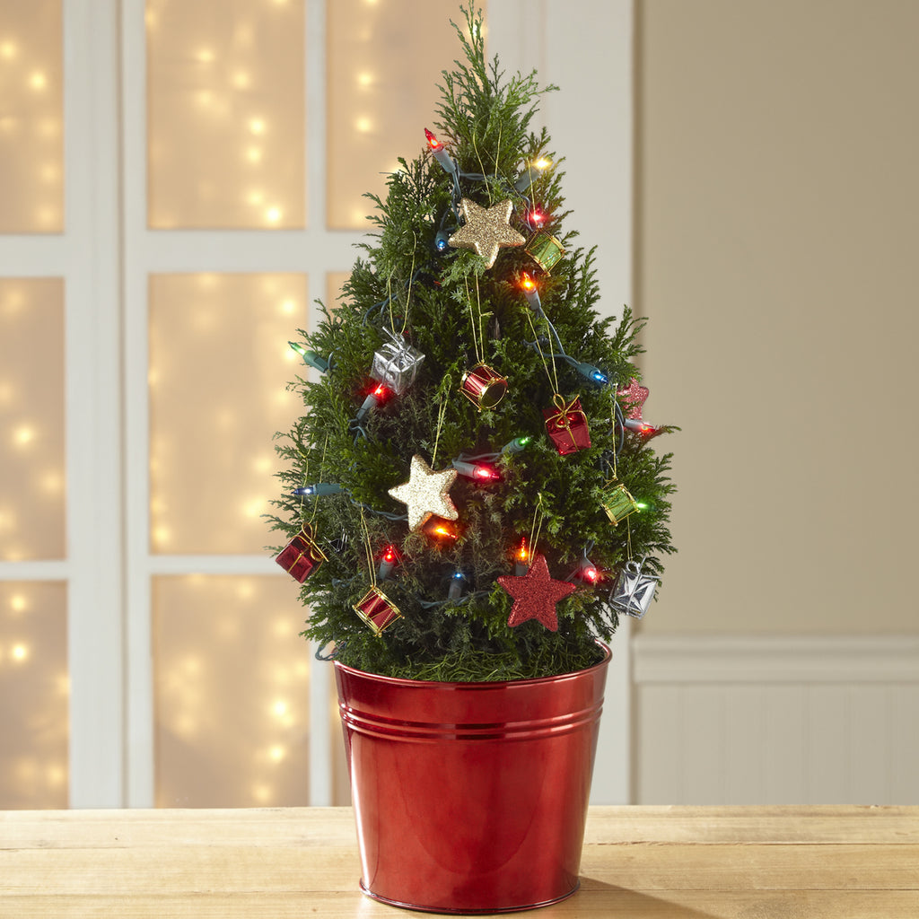 Merry Wishes Holiday Tree