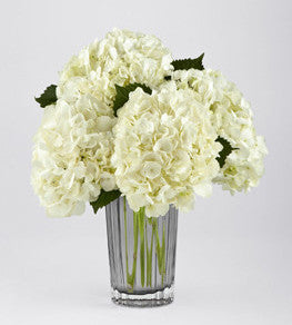 Ivory Hydrangea Bouquet by Vera Wang
