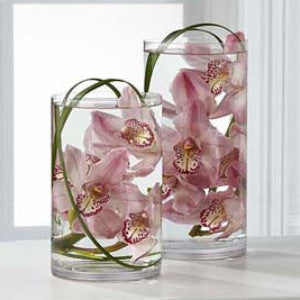 Tranquil Orchid Arrangement