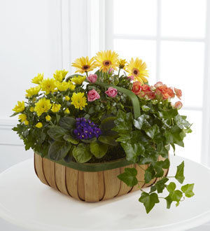Gentle Blossoms Basket