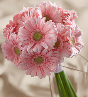 Daisy Delight Bouquet