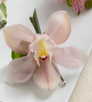 Pink Cymbidium Boutonniere