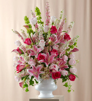 Solemnity Arrangement