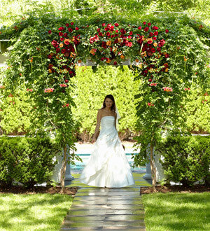 Arbor of Love Archway