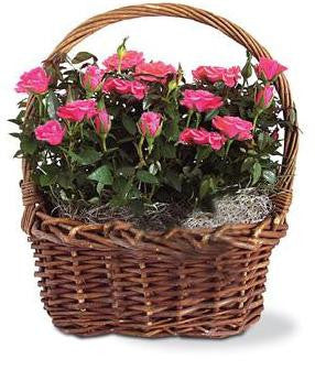 Rose Garden Basket