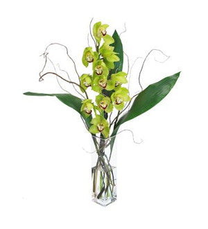 Exclusive Elegance - Green