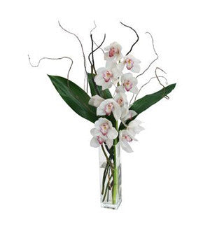 Exclusive Elegance - White