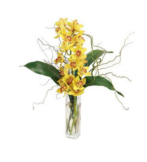 Exclusive Elegance - Yellow