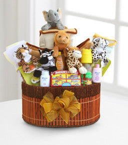 Noah's Ark Arrival