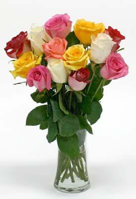 One Dozen Mixed Roses w/ FREE Vase