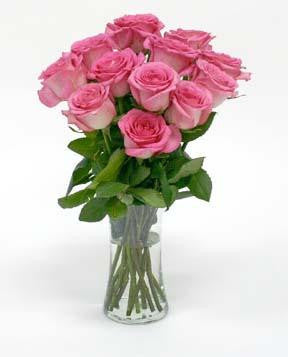 One Dozen Pink Roses w/ FREE Vase