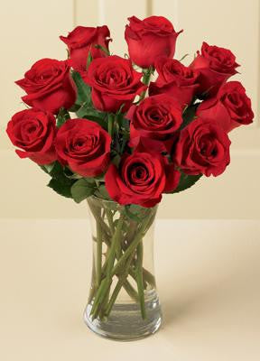 One Dozen Red Roses w/ FREE Vase