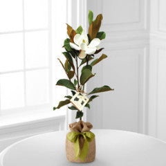 Southern Sensibilities Magnolia Tree by Better Homes and Gardens