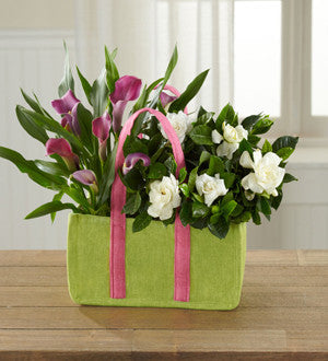 Let Love Grow Calla Lily & Gardenia Plant Duo by Better Homes and Gardens