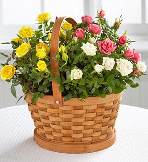 The Better Homes and Gardens Rose Garden Basket