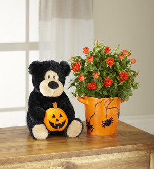 Spider Surprise Halloween Mini Rose with Plush Bear