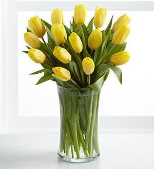 Sunshine's Promise Tulip Bouquet - 15 Stems with Vase